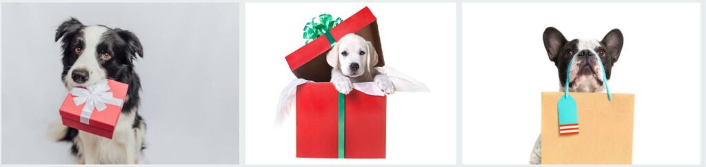regalos para mascotas